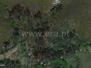 Terreno florestal com 19.000 m2 em Estoros