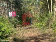 Terreno Florestal, Santiago Carreiras