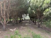 Terreno, Folques, ARGANIL | BPI Expresso Imobiliário