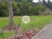 Terreno, Fonte de Angeão e Covão Do Lobo, Vagos | BPI...