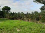 Terreno Fornos Entre o Meco e Alfarim
