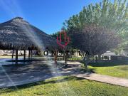 Terreno Fracc. Campestre Carretera a Delicias