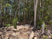 Terreno Fraccionamiento Ciudad Mayakoba