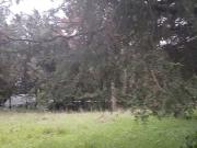 Terreno Fraccionamiento María Candelaria