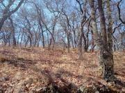 Terreno Fraccionamiento Vergel de la Sierra