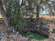 Terreno, Freixial e Juncal Do Campo, Castelo Branco |...