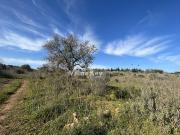Terreno frente a 125 com várias ruínas para reconstruir...