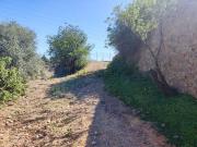 Terreno, Fuente Alegre El Chaparral Los Morales, Málaga