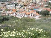 Terreno, Fuente Alegre El Chaparral Los Morales, Málaga