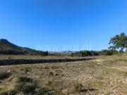 Terreno / Fundão, Castelo Novo