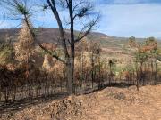 Terreno / Fundão, Freixial