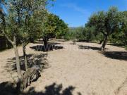 Terreno / Fundão, Póvoa da Atalaia