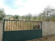 Terreno / Fundão, Quintãs