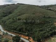 Terreno / Fundão, Telhado