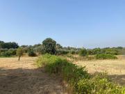 Terreno, Fundão, Valverde, Donas, Aldeia de Joanes e...
