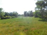 Terreno, Fundão, Valverde, Donas, Aldeia de Joanes e...