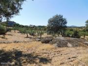 Terreno / Fundo, Martianas