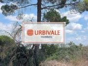 Terreno, Gâmbia Pontes Alto Da Guerra, Setúbal | BPI...