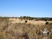 Terreno, Gâmbia Pontes Alto Da Guerra, Setúbal | BPI...
