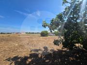 Terreno, Gâmbia Pontes Alto Da Guerra, Setúbal | BPI...