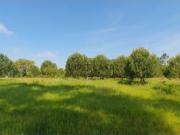 Terreno Gaveto com Estrada Nacional