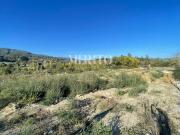 Terreno, Gême, Vila Verde | BPI Expresso Imobiliário