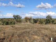 Terreno, Grândola e Santa Margarida Da Serra, Grândola |...