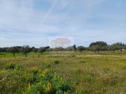 Terreno, Grândola e Santa Margarida Da Serra, Grândola |...