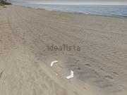 Terreno, Guadalmina Baja, Marbella