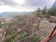 Terreno, Guia de Isora