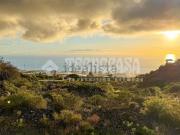 Terreno, Guia de Isora