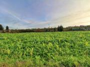 Terreno, Guilhabreu, Vila do Conde | BPI Expresso...