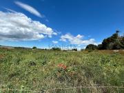 Terreno, Gurrea de Gallego