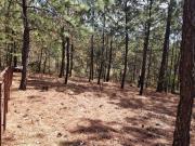 Terreno habitacional