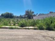 TERRENO HABITACIONAL EN VENTA