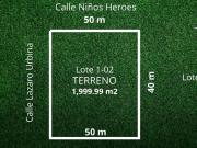 Terreno Habitacional en Venta en Alfredo V. Bonfil,...