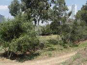 Terreno habitacional en venta en Fraccionamiento El... Terreno habitacional en venta en Fraccionamiento El...