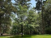 Terreno habitacional en venta en Lomas Club de Golf...