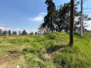 Terreno habitacional en venta en Santa Cruz Otzacatipán,...