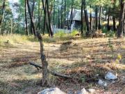 Terreno habitacional en venta en Tirio, Michoacán