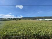 Terreno Habitacional en Venta Frente al Technology Park...