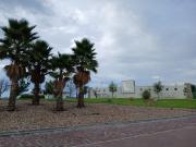 Terreno Habitacional, Privada Azalea, Ciudad Maderas,...