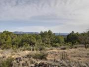 Terreno, Horta de Sant Joan