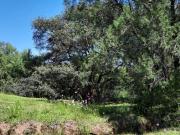 Terreno Huasca de Ocampo Centro