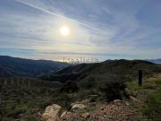 Terreno, Huerta Nueva Jardín de Málaga, Málaga