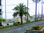 Terreno, Icod de los Vinos