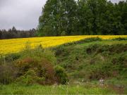 ¡Terreno Ideal en Maullín: Inversión en Los Lagos!