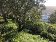 TERRENO IDEAL NO CONCELHO DE ALCANENA: COMECE O SEU...