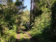 TERRENO IDEAL PARA CONSTRUCTORES UBICADO EN ZONA...