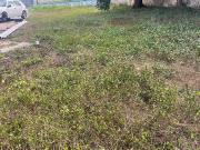 Terreno ideal para desarrollar cerca del Parque de las...